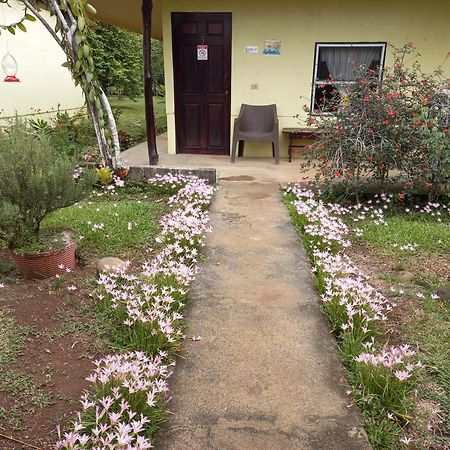 Posada Rural Oasis Hotel Cano Negro Exterior photo