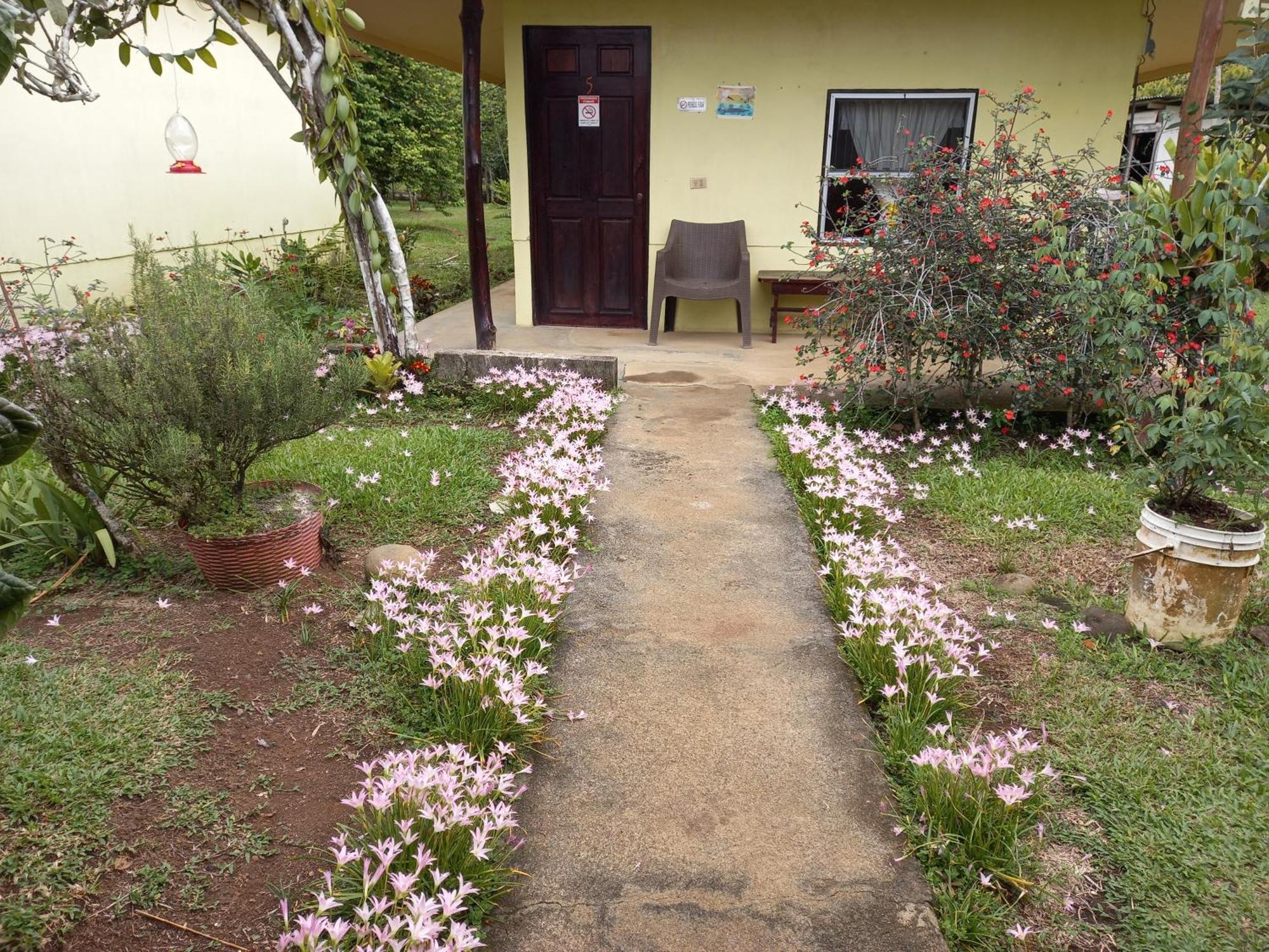 Posada Rural Oasis Hotel Cano Negro Exterior photo