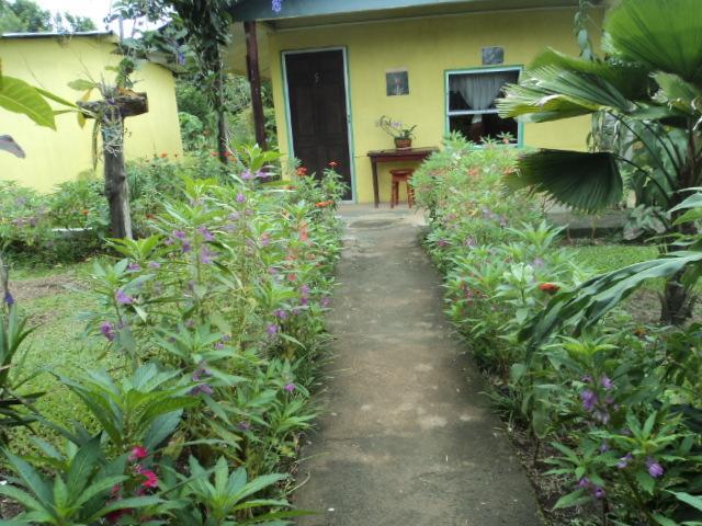 Posada Rural Oasis Hotel Cano Negro Exterior photo